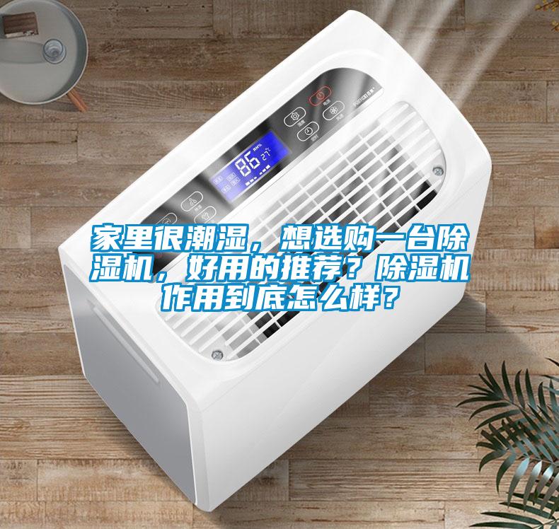 家里很潮濕，想選購一臺除濕機，好用的推薦？除濕機作用到底怎么樣？