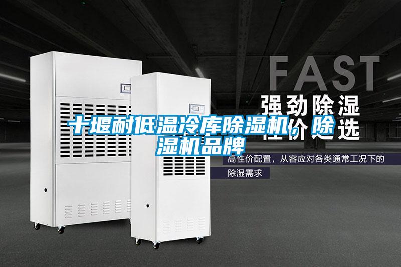十堰耐低溫冷庫除濕機，除濕機品牌