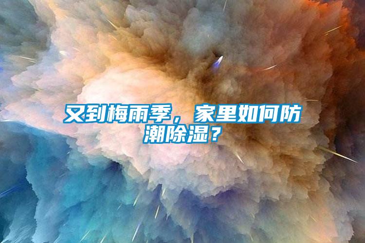又到梅雨季，家里如何防潮除濕？