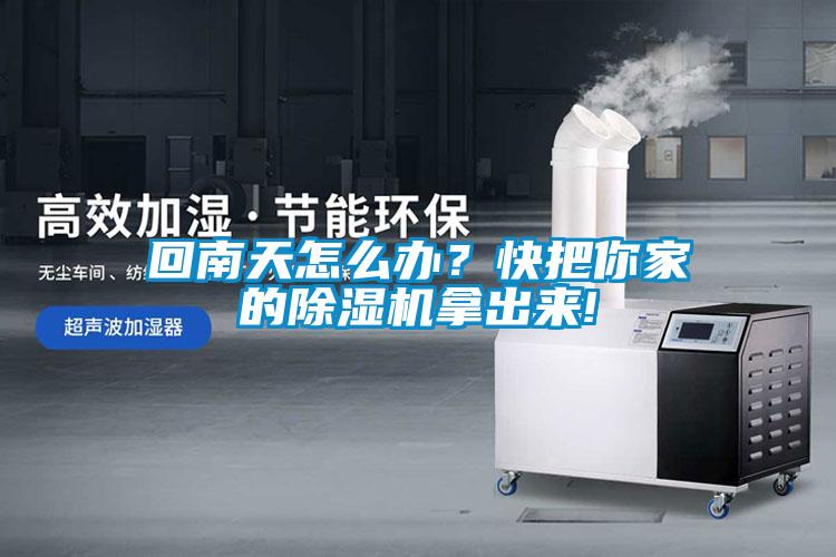 回南天怎么辦？快把你家的除濕機拿出來!