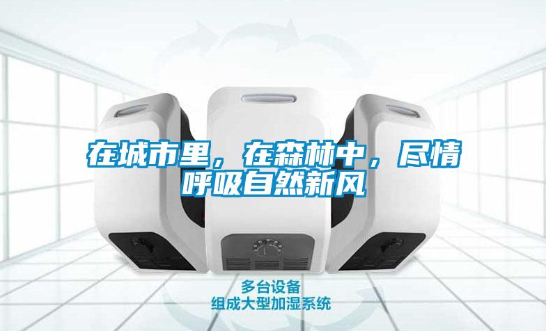 在城市里，在森林中，盡情呼吸自然新風