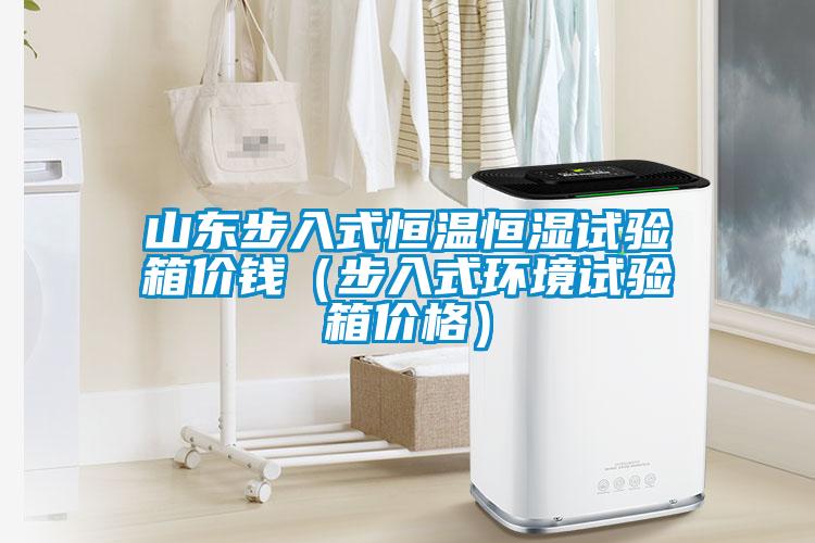 山東步入式恒溫恒濕試驗箱價錢（步入式環境試驗箱價格）