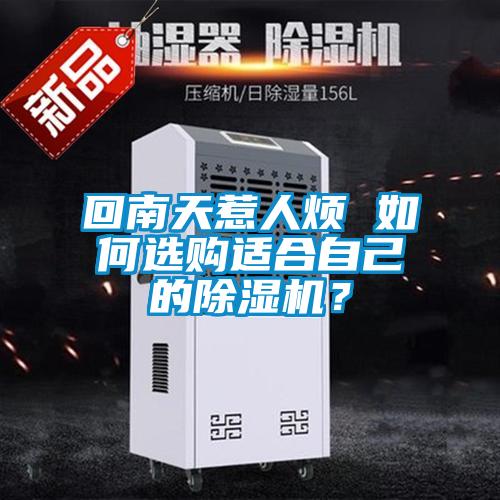 回南天惹人煩 如何選購適合自己的除濕機？