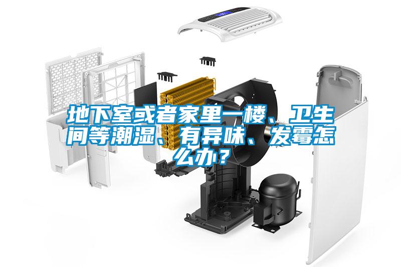 地下室或者家里一樓、衛生間等潮濕、有異味、發霉怎么辦？