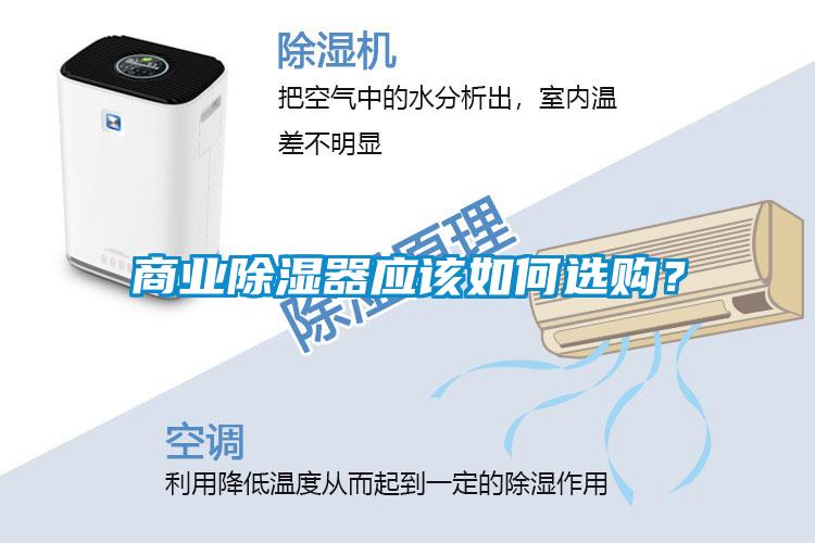 商業除濕器應該如何選購？