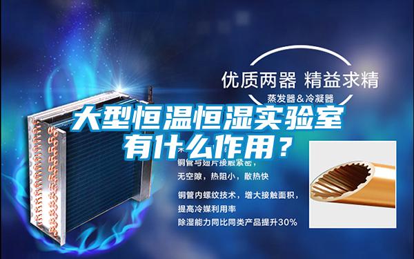 大型恒溫恒濕實驗室有什么作用？
