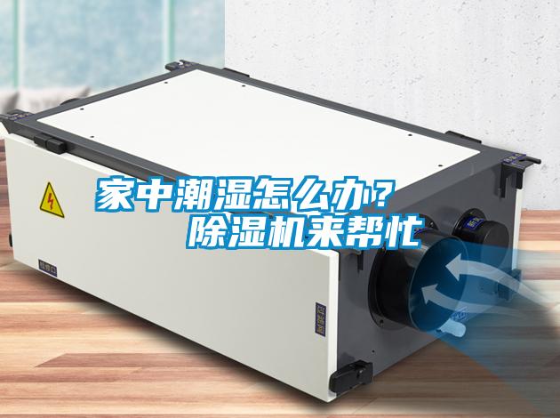 家中潮濕怎么辦？    除濕機來幫忙