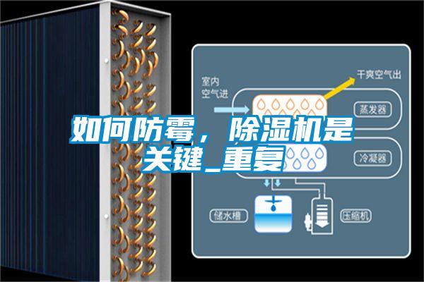 如何防霉，除濕機是關鍵_重復