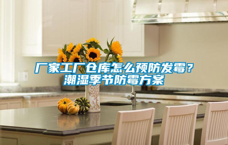 廠家工廠倉庫怎么預防發霉？潮濕季節防霉方案