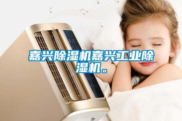 嘉興除濕機嘉興工業除濕機。
