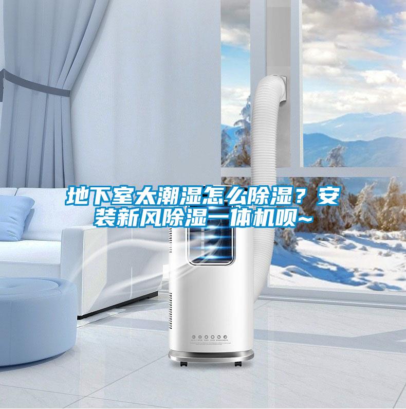 地下室太潮濕怎么除濕？安裝新風除濕一體機唄~