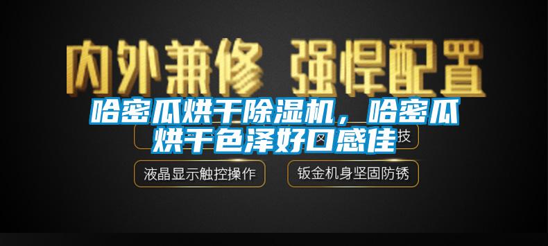 哈密瓜烘干除濕機，哈密瓜烘干色澤好口感佳