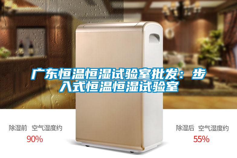 廣東恒溫恒濕試驗室批發：步入式恒溫恒濕試驗室