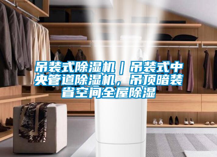 吊裝式除濕機｜吊裝式中央管道除濕機，吊頂暗裝省空間全屋除濕