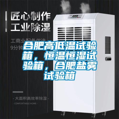 合肥高低溫試驗箱，恒溫恒濕試驗箱，合肥鹽霧試驗箱