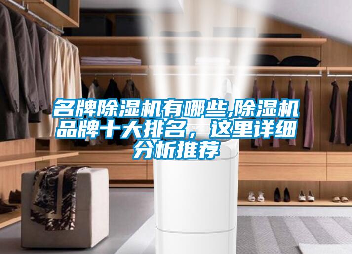 名牌除濕機有哪些,除濕機品牌十大排名，這里詳細分析推薦