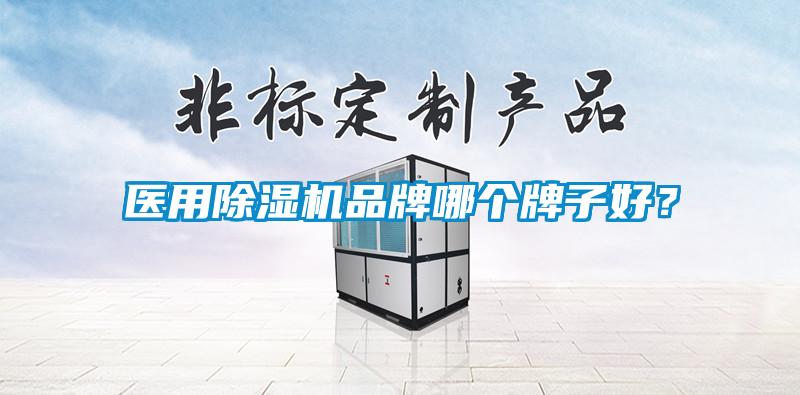 醫用除濕機品牌哪個牌子好？
