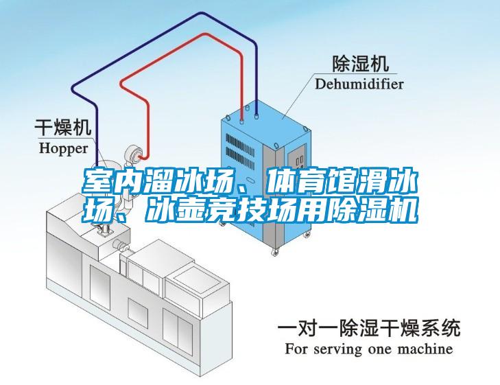 室內溜冰場、體育館滑冰場、冰壺競技場用除濕機