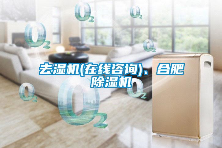 去濕機(在線咨詢)、合肥除濕機