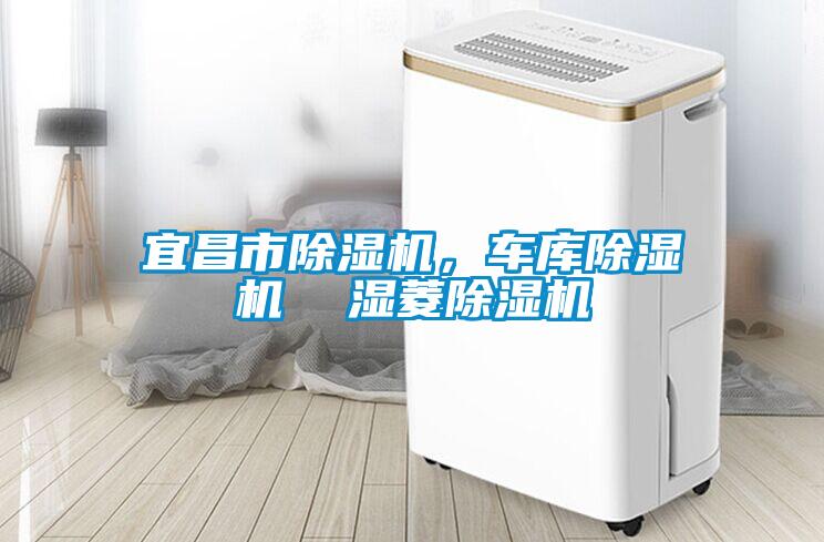 宜昌市除濕機，車庫除濕機  濕菱除濕機