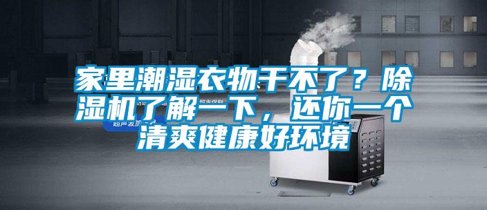 家里潮濕衣物干不了？除濕機了解一下，還你一個清爽健康好環境
