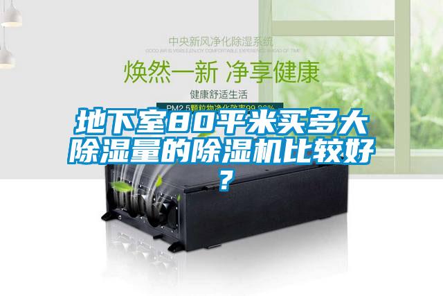 地下室80平米買多大除濕量的除濕機比較好？
