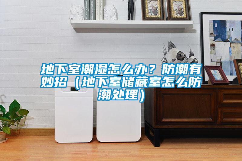 地下室潮濕怎么辦？防潮有妙招（地下室儲藏室怎么防潮處理）
