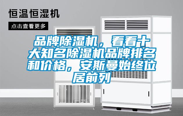 品牌除濕機，看看十大知名除濕機品牌排名和價格，安斯曼始終位居前列