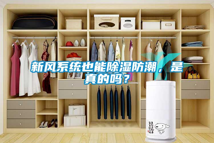 新風系統也能除濕防潮，是真的嗎？