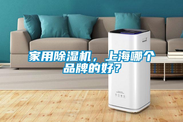 家用除濕機，上海哪個品牌的好？