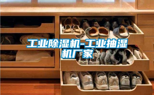 工業除濕機-工業抽濕機廠家