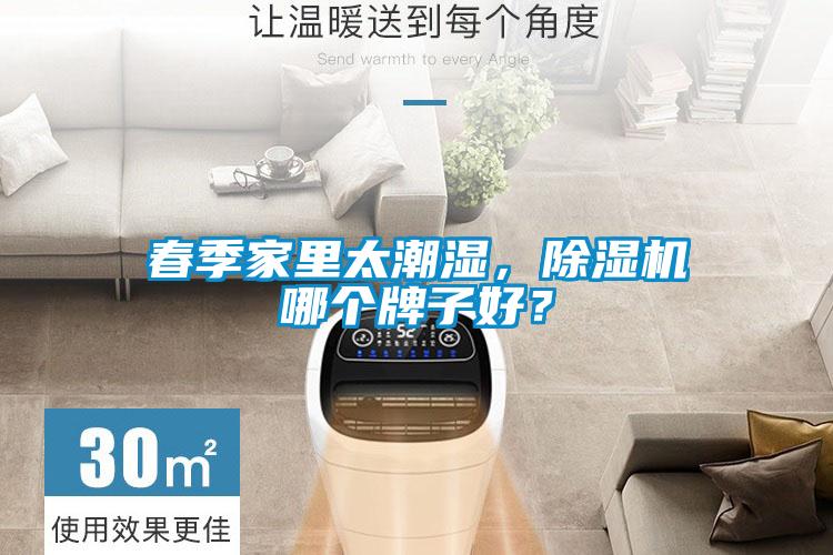 春季家里太潮濕，除濕機哪個牌子好？