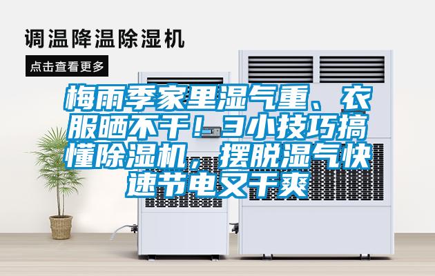 梅雨季家里濕氣重、衣服曬不干！3小技巧搞懂除濕機，擺脫濕氣快速節電又干爽