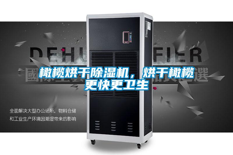 橄欖烘干除濕機，烘干橄欖更快更衛生