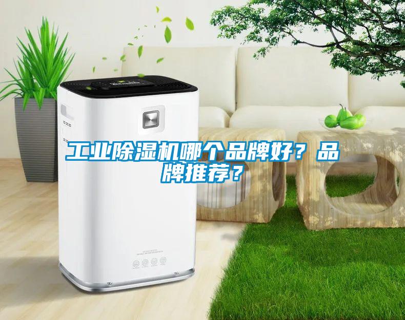 工業除濕機哪個品牌好？品牌推薦？