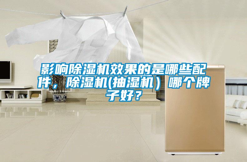 影響除濕機效果的是哪些配件，除濕機(抽濕機）哪個牌子好？