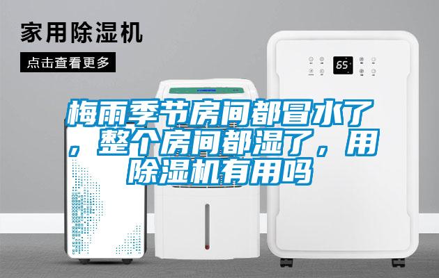 梅雨季節房間都冒水了，整個房間都濕了，用除濕機有用嗎