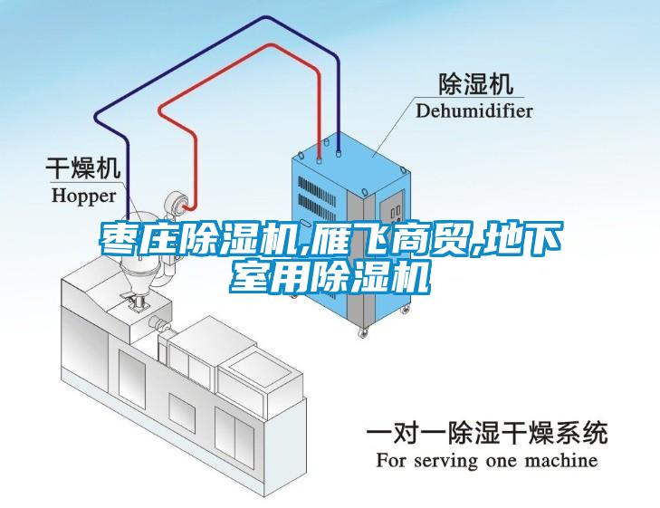 棗莊除濕機,雁飛商貿,地下室用除濕機