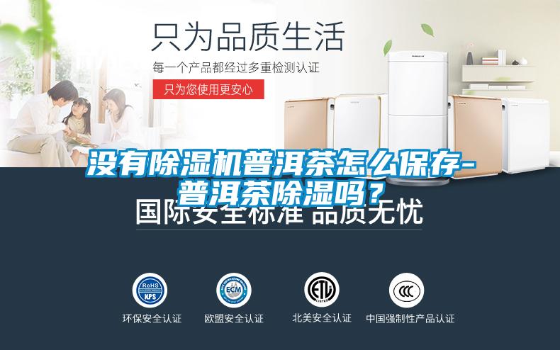 沒有除濕機普洱茶怎么保存-普洱茶除濕嗎？