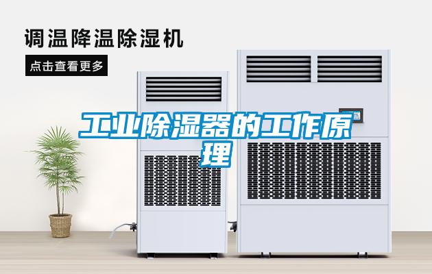工業除濕器的工作原理