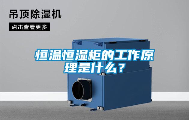 恒溫恒濕柜的工作原理是什么？