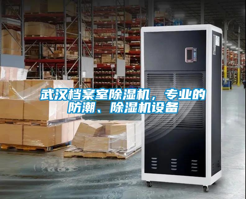 武漢檔案室除濕機，專業的防潮、除濕機設備