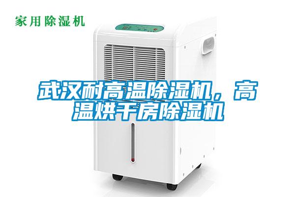 武漢耐高溫除濕機，高溫烘干房除濕機