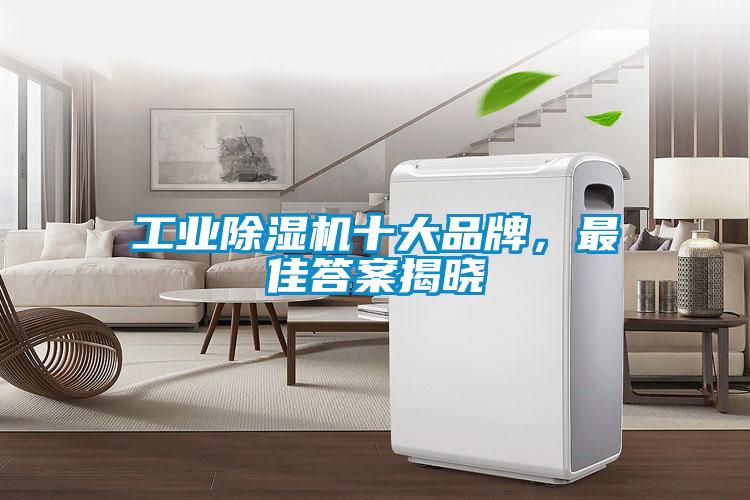 工業除濕機十大品牌，最佳答案揭曉