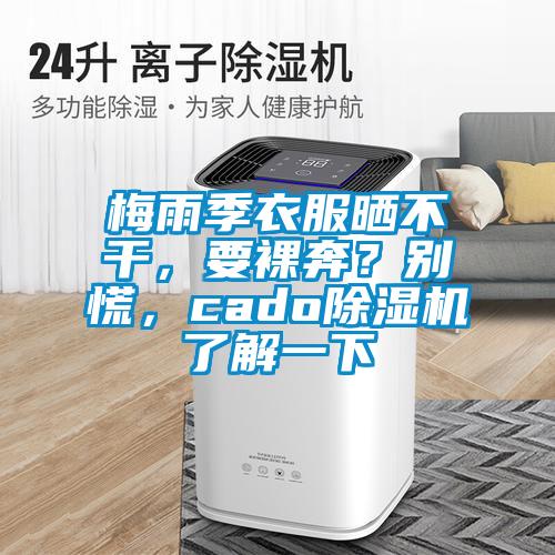 梅雨季衣服曬不干，要裸奔？別慌，cado除濕機了解一下