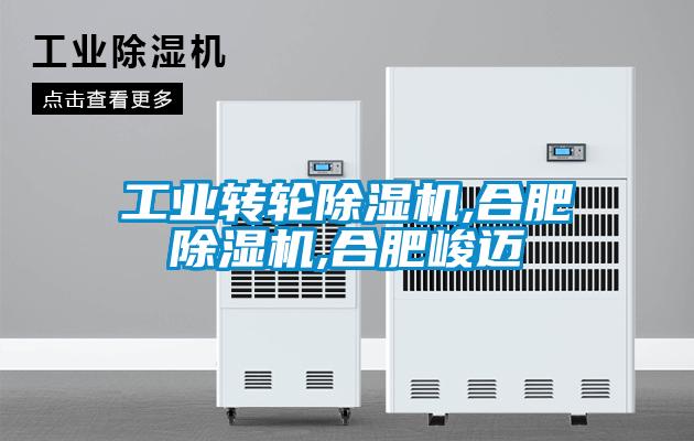 工業轉輪除濕機,合肥除濕機,合肥峻邁