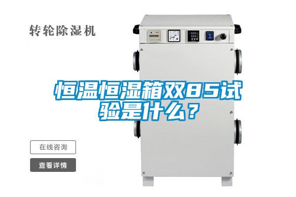 恒溫恒濕箱雙85試驗是什么？