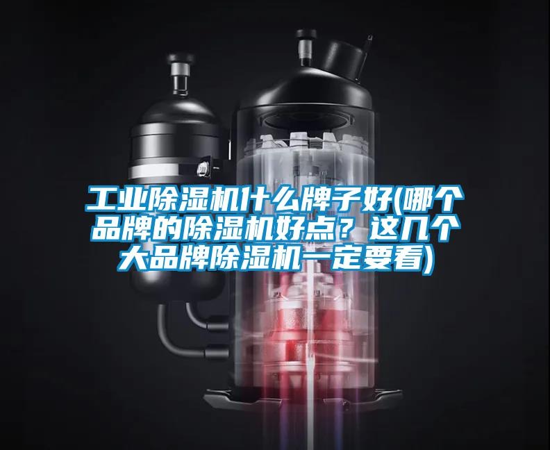 工業除濕機什么牌子好(哪個品牌的除濕機好點？這幾個大品牌除濕機一定要看)