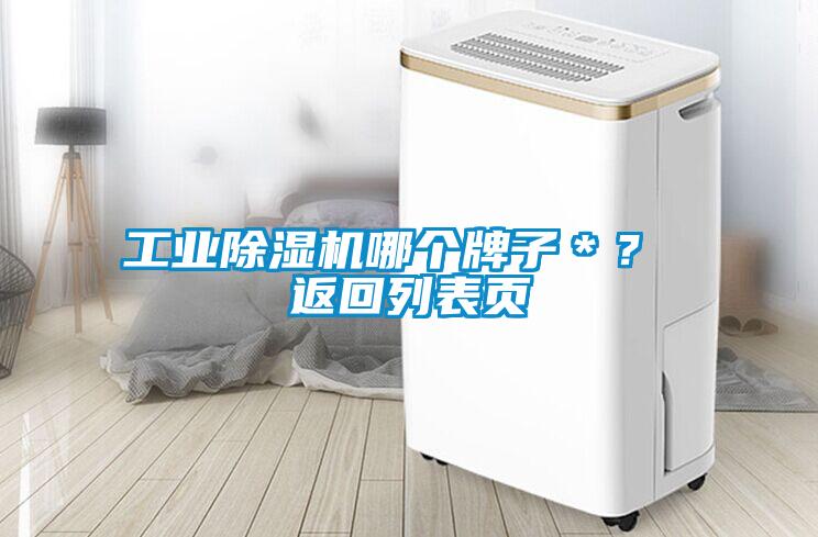 工業除濕機哪個牌子＊？ 返回列表頁