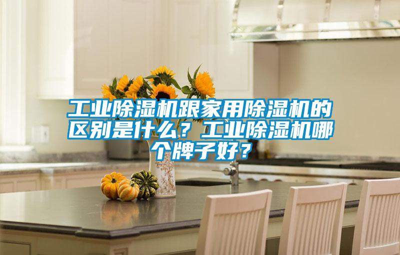 工業除濕機跟家用除濕機的區別是什么？工業除濕機哪個牌子好？